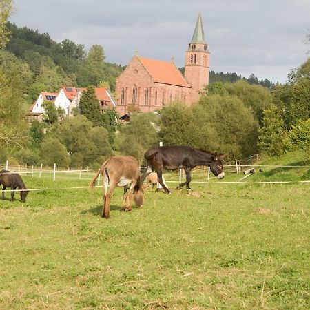 Ferienwohnung Spreter Zimmern ob Rottweil Exterior photo